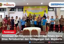 PEMBINAAN DAN PENGAWASAN INDUSTRI BAGI PELAKU USAHA