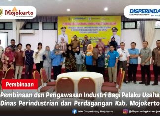 PEMBINAAN DAN PENGAWASAN INDUSTRI BAGI PELAKU USAHA