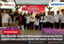 PENDAMPINGAN