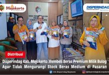 DISPERINDAG KAB. MOJOKERTO MEMBELI BERAS PREMIUM MILIK BULOG AGAR TIDAK MENGURANGI STOK BERAS MEDIUM DI PASARAN