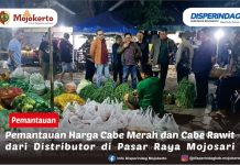 Pemantauan Harga Cabe Merah dan Cabe Rawit dari Distributor di Pasar Raya Mojosari