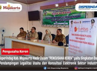 DISPERINDAG HADIR DALAM “PENGUSAHA KEREN” yaitu singkatan dari (Pendampingan Legalitas Usaha dan Konsultasi Elektronik Sektor Industri)